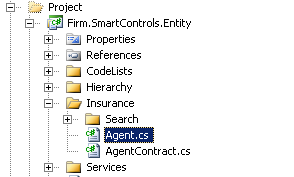 The Agent entity