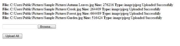 jQuery_MultipleUpload_3.JPG