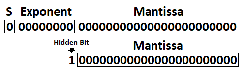 Floating-Point Format