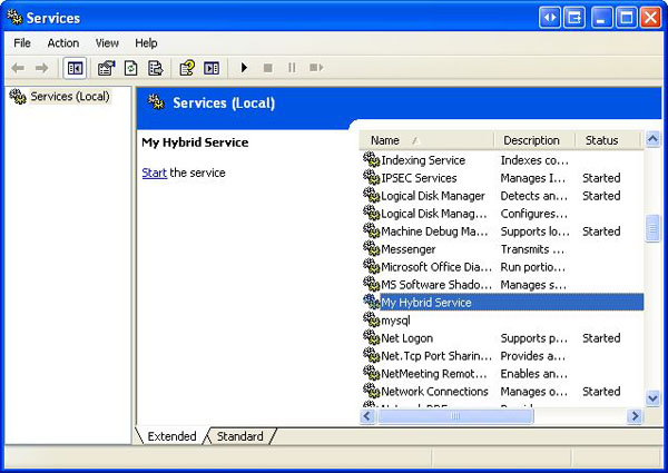 Screenshot - hybridservice.jpg