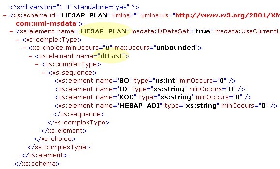 Sample DataSet Schema which will be useful when designing the report.
