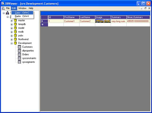 DBViewer