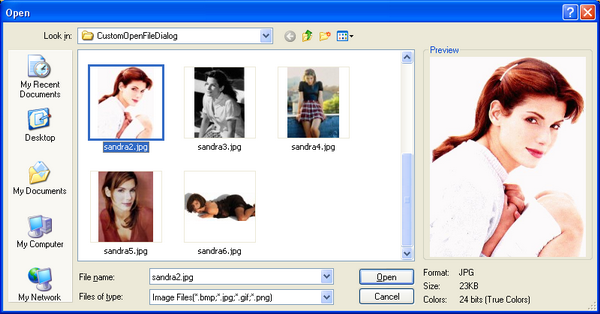 Sample Image - OpenFileDialogEx.png