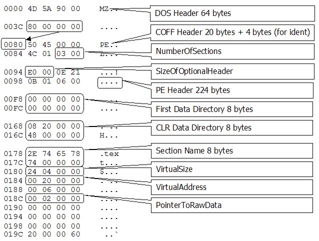 Windows Pe File Format Windows Pe File Format