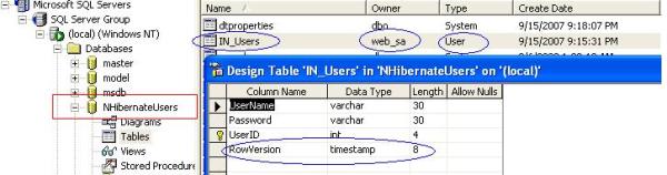 Screenshot - ImplementInterfaceNHibernate_1.jpg