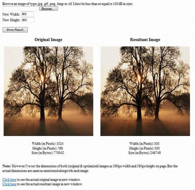 ImageOptimizationnResize