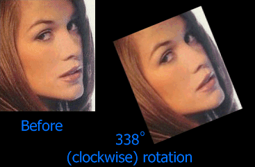 Sample Image - RotateByShear.gif