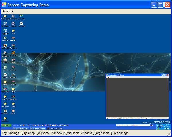 Sample Image - Screen_Capturing1.jpg
