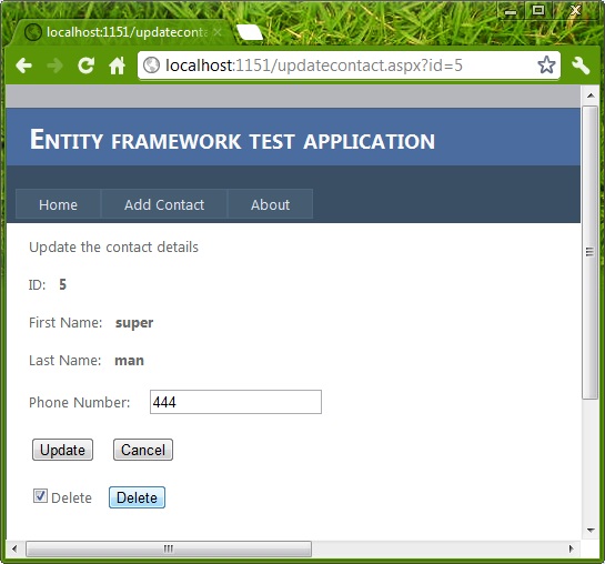 Entity framework article image