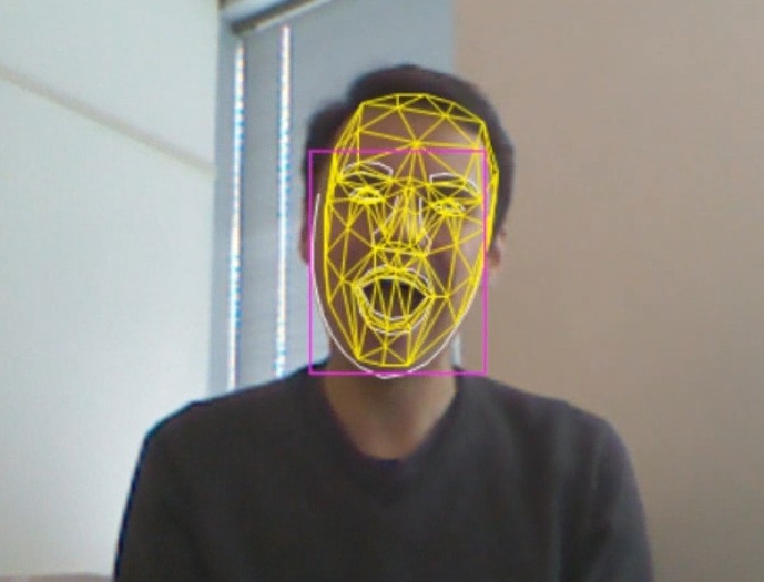 faceTracking
