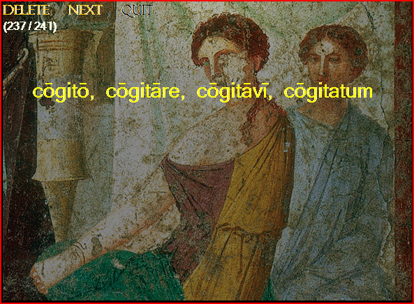 flash-card_front.PNG