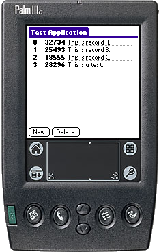 Palm test application screenshot