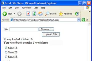 file information class
