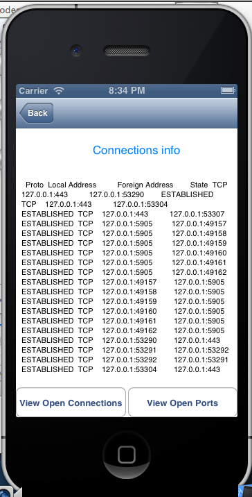 netstat output on iphone