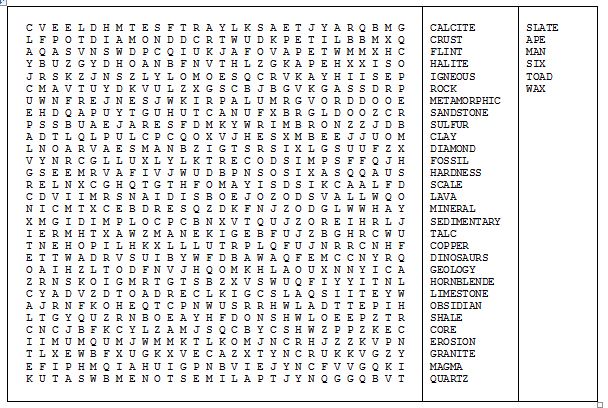 Word Search Puzzle