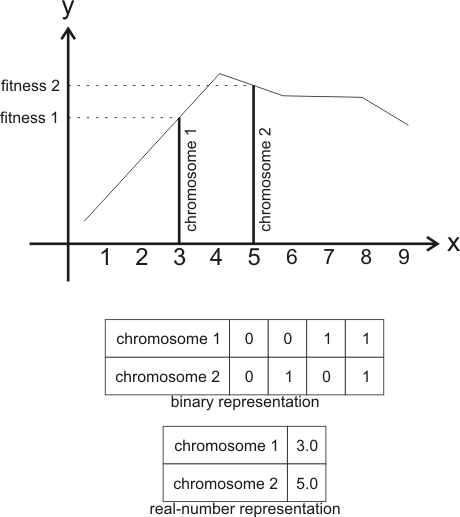 Chromosome representation