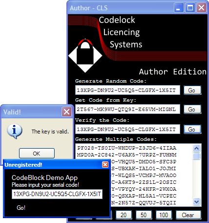 license key code examples