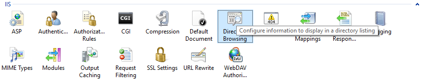 iis physical path credentials logon type