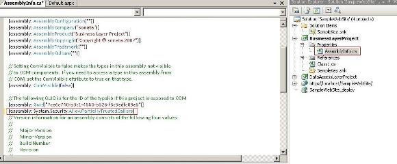 Screenshot - assemblyinfo-pic3.jpg