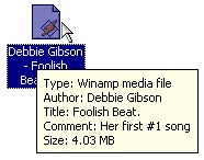  [Custom InfoTip - 3K] 