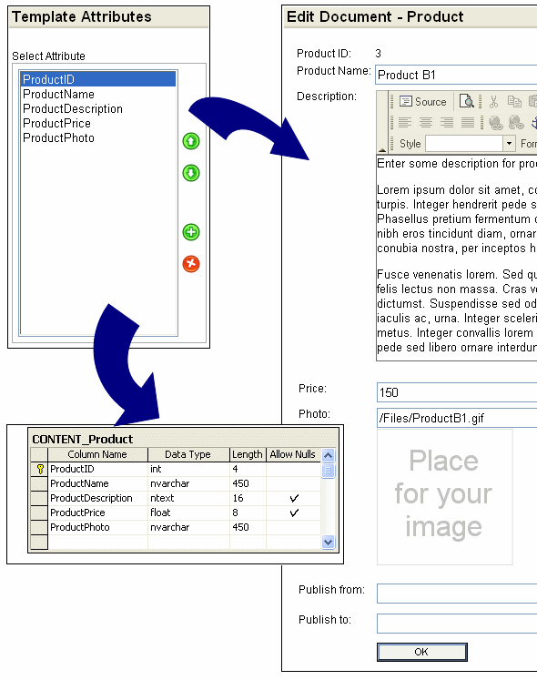 The Document Template Designer automatically creates an underlying database table for your content, generates queries and an editing form.