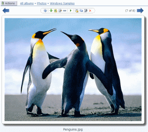 Screenshot - imageview.jpg