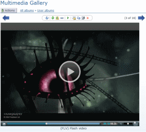 Screenshot - videoview.jpg
