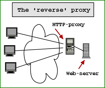 Sample Image - reverse-proxy.png