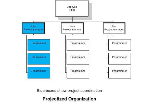 Projectized Organization Chart
