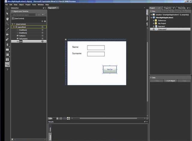 silverLight3.jpg - Click to enlarge image